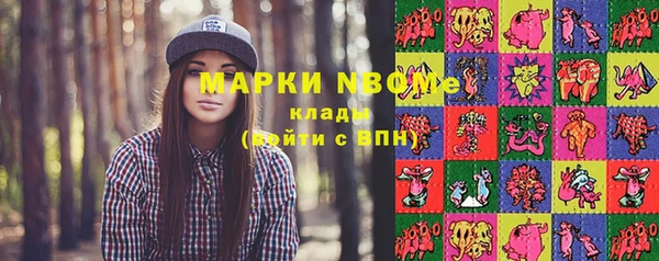 ECSTASY Пересвет