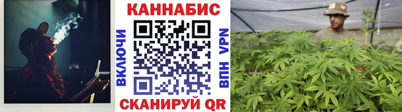 мориарти клад  купить  сайты  Калязин  Бошки Шишки гибрид 